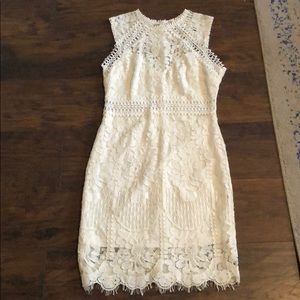 Main strip crochet lace overlay bodycon dress